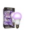 Miracle Led 4KK Indoor Grow Light Bulb, 4000K Red/Blue Spectrum Replace 150W Grow Bulbs, Vegetables, Herbs 801870 - alternate 1